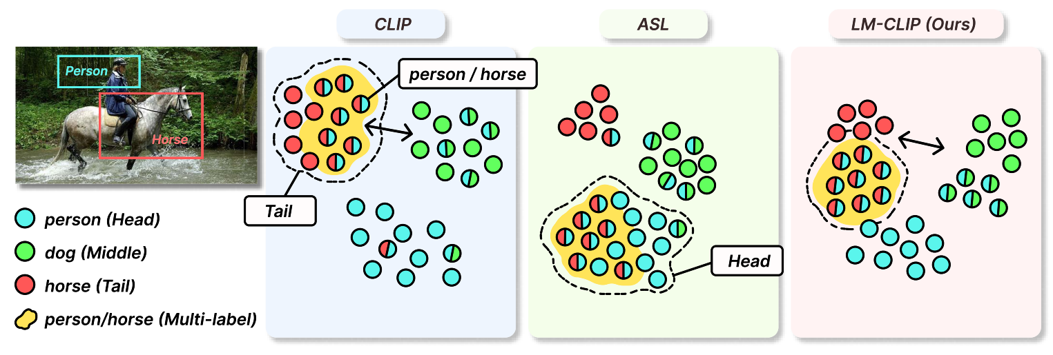 LM-CLIP: Adapting Positive Asymmetric Loss for Long-Tailed Multi-Label Classification