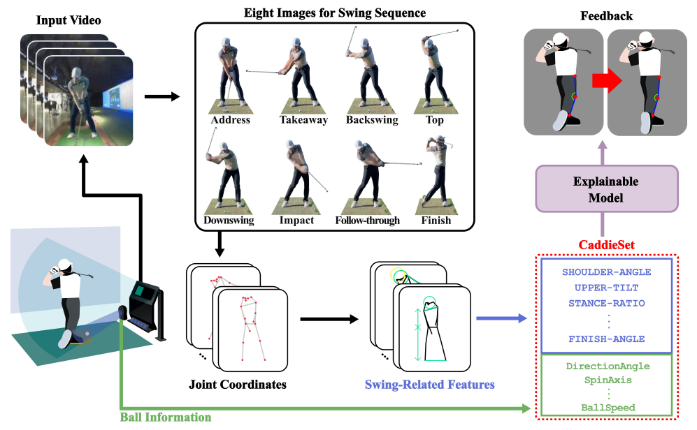 CaddieSet: A Golf Swing Dataset with Human Joint Features and Ball Information
